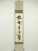 堀内家十二代兼中斎筆　「松樹千年翠」一行書　肉筆紙本掛軸（共箱）